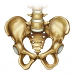 What Is Sacroiliac Joint Dysfunction?