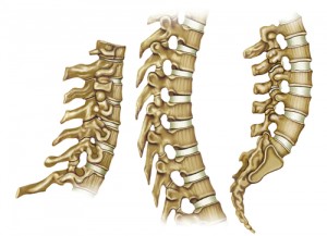 The Importance of Restoring Balance in Spine