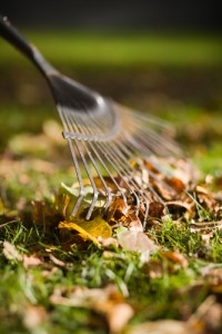 Yard Work During Fall Months and Preventing Back Injuries