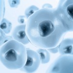 Stem Cells and Why You Should Consider Them